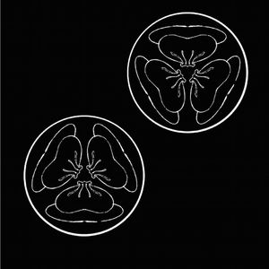 亲孑伦XX❌Xⅹinin-动漫
